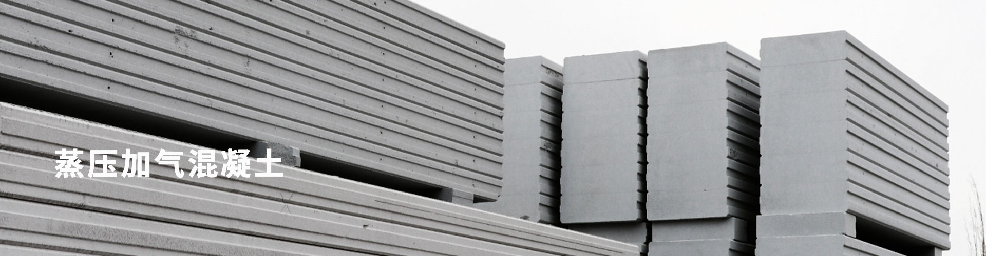 CA88(唯一)官方网站入口